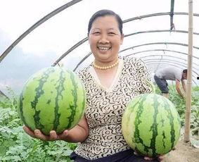 新赛季吃瓜,盘点娱乐圈最新热点事件