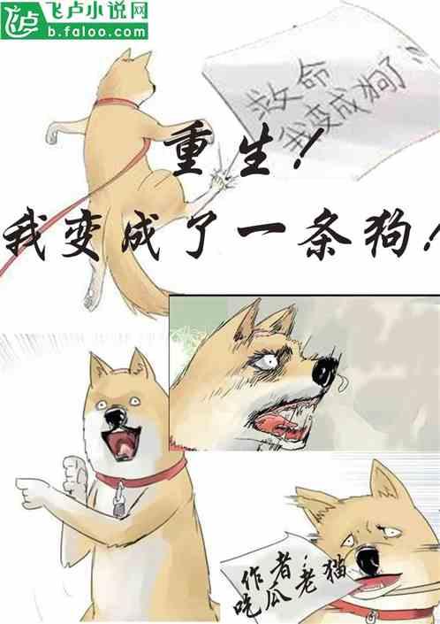 吃瓜反转小说,一场吃瓜反转的悬疑之旅