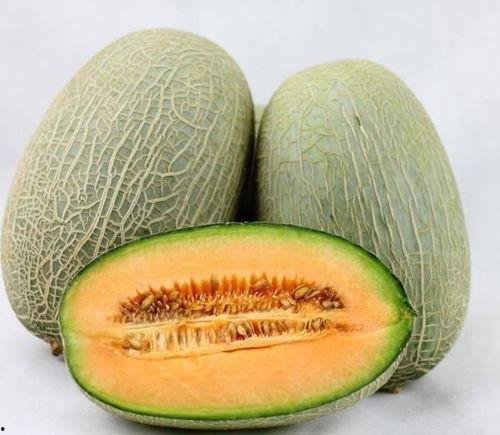 湿寒重可以吃哈密瓜吗,哈密瓜的养生之道