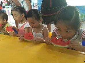 吃瓜比赛视频儿童,儿童吃瓜大赛欢乐瞬间回顾