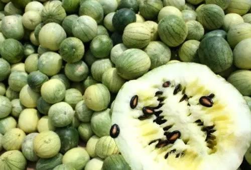 靖远吃瓜,揭秘当地特色美食背后的故事