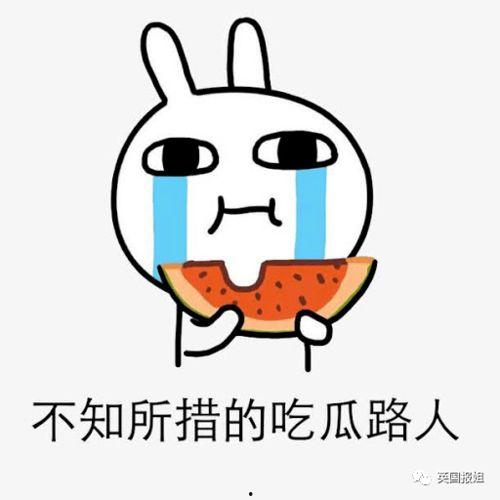 川媒 吃瓜,吃瓜群众背后的故事