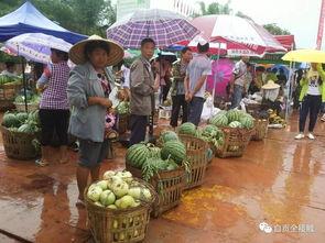 自贡吃瓜群众,揭秘麻辣鲜香背后的故事