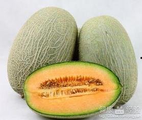 鸡可以吃哈密瓜,哈密瓜新食代