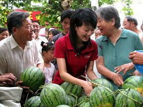 向城吃瓜,探寻地方特色美食之旅