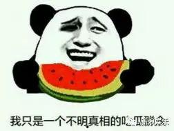 打架吃自己的瓜,一场因打架引发的瓜田风波