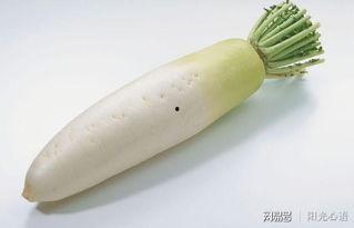 咳嗽吃白蜜瓜,甜蜜疗法，自然养生之道