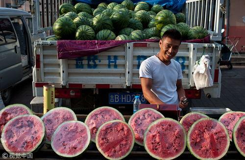 沈阳吃瓜群众,吃瓜群众聚焦最新热点