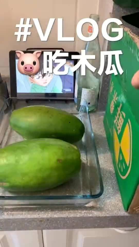 一只小猪吃瓜,趣味盎然的夏日时光