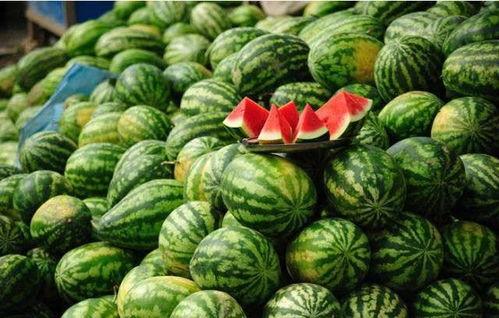 昆明模特圈吃瓜事件