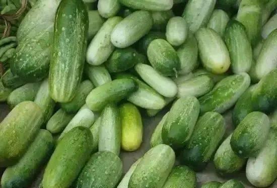 51吃瓜云南,揭秘云南美食背后的故事与风情