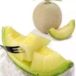 吃甜瓜还是吃蜜瓜蛋糕,甜瓜VS蜜瓜蛋糕，谁才是夏日最佳甜品？